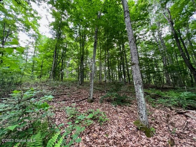 Lot 1 Mcgregor Road, Gloversville, New York image 1