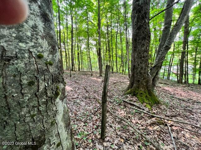 Lot 1 Mcgregor Road, Gloversville, New York image 5