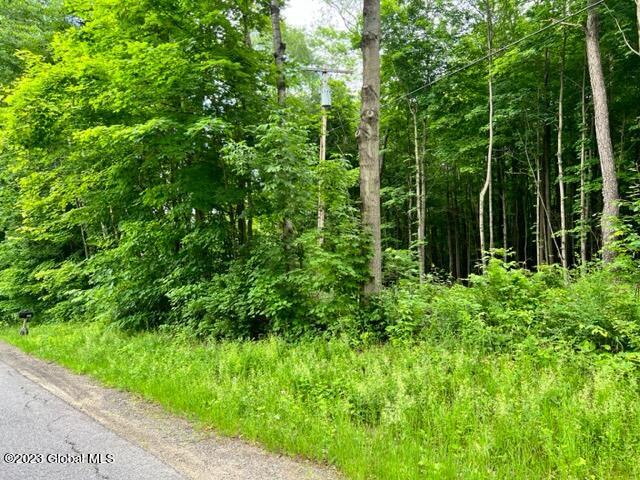 Lot 1 Mcgregor Road, Gloversville, New York image 4