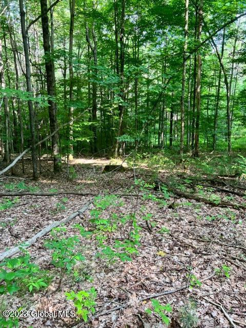 Lot 1 Mcgregor Road, Gloversville, New York image 3