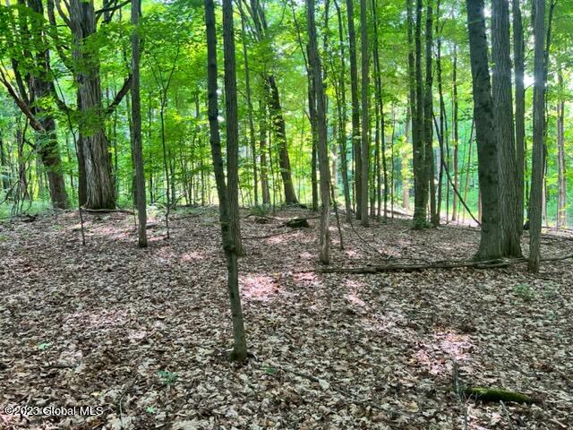 Lot 1 Mcgregor Road, Gloversville, New York image 2