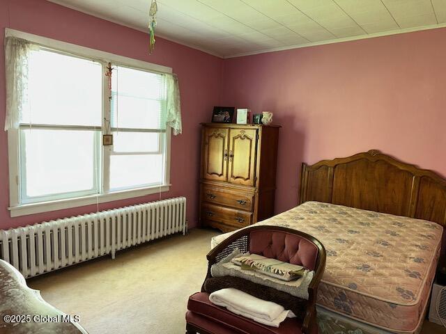 6 Bennett Court, Selkirk, New York image 19