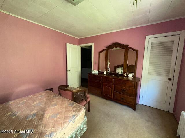 6 Bennett Court, Selkirk, New York image 20
