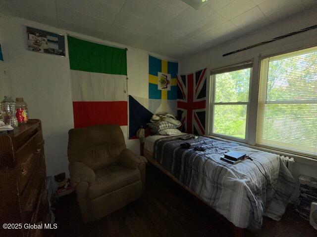 6 Bennett Court, Selkirk, New York image 22