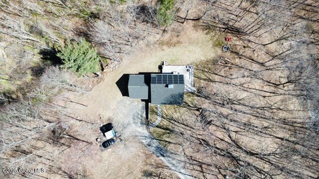 119 Kropp Road, Westerlo, New York image 4