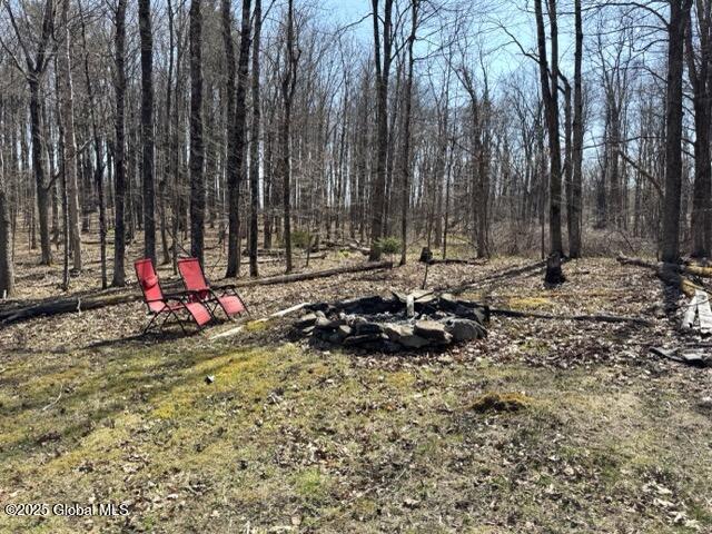 119 Kropp Road, Westerlo, New York image 28