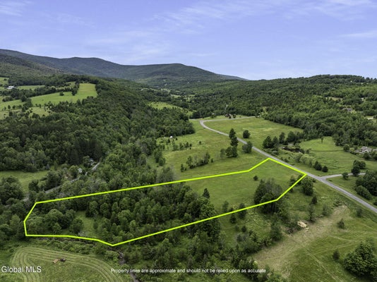 DEER LN, PRATTSVILLE, NY 12468 - Image 911296fbf2fa0db89011ae44494c3473/3697208091