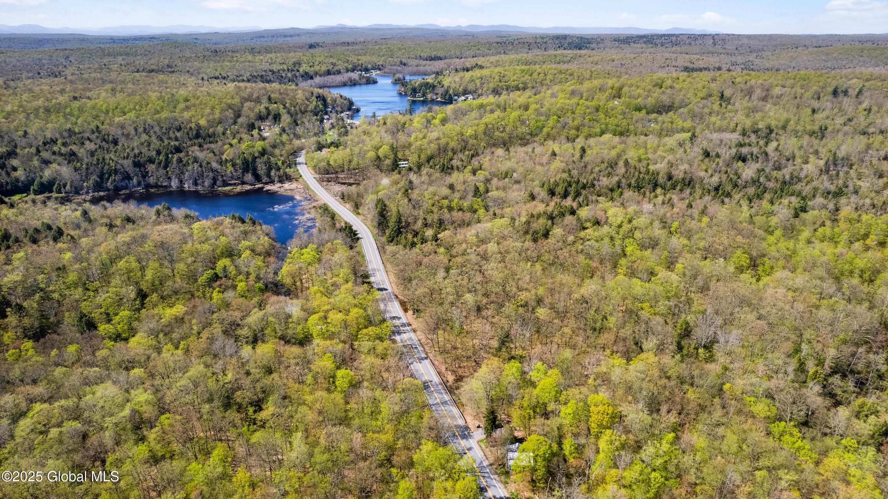 433 Lake Desolation Road, Middle Grove, New York image 11