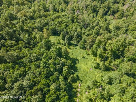 Photo of L4 Havrish Road, Jefferson, NY 12167 (MLS # 202611009)