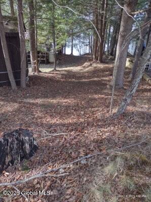 956 Deerland Road, Long Lake, New York image 30