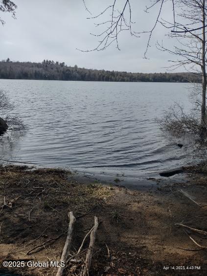 956 Deerland Road, Long Lake, New York image 29