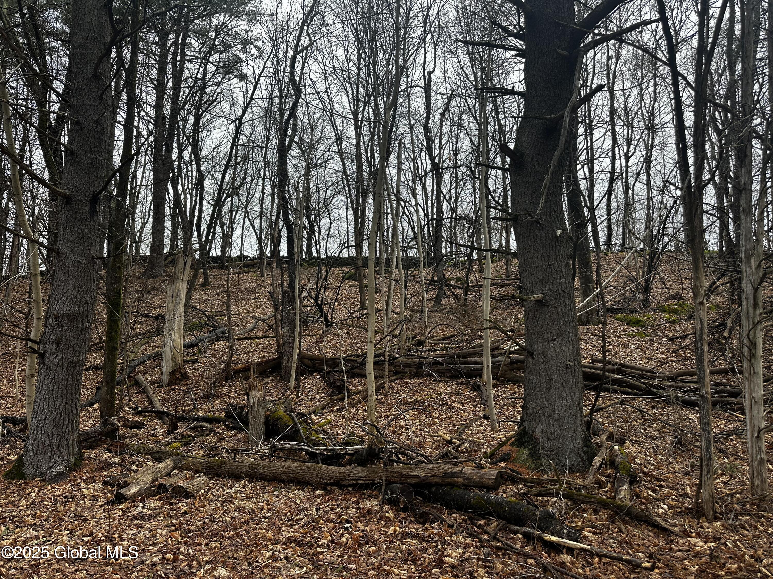 189 County Route 26, Coxsackie, New York image 19