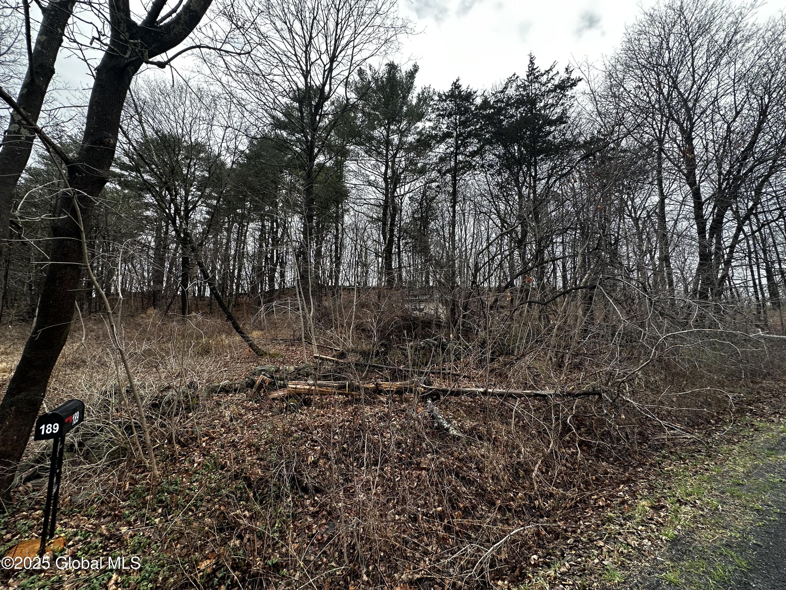 189 County Route 26, Coxsackie, New York image 5