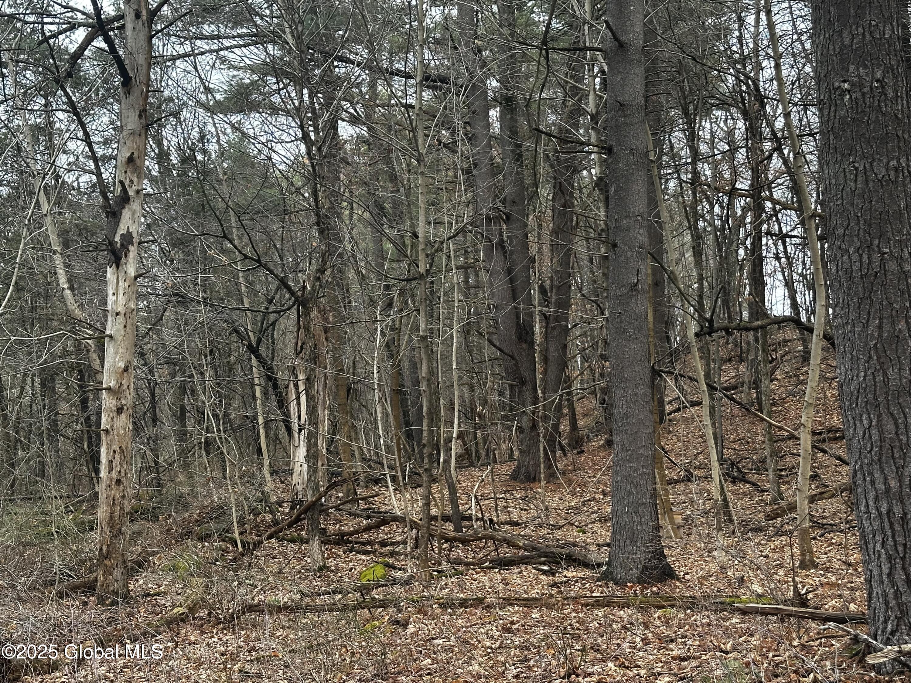 189 County Route 26, Coxsackie, New York image 11