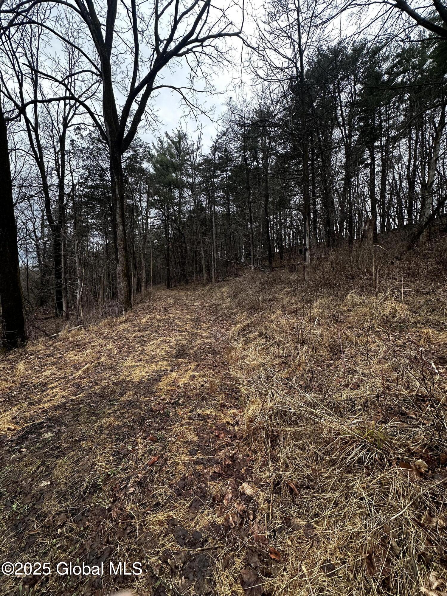 189 County Route 26, Coxsackie, New York image 15
