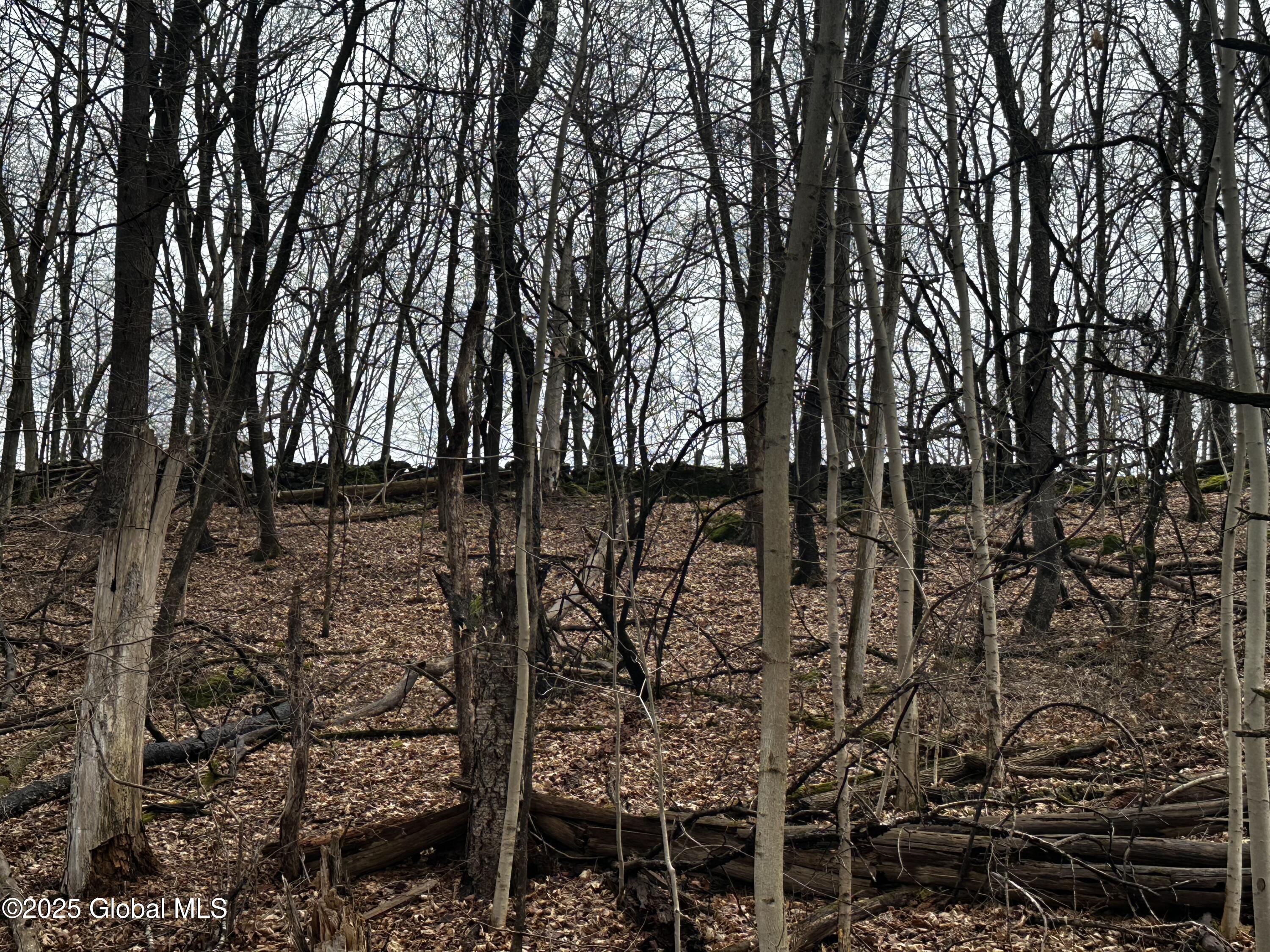 189 County Route 26, Coxsackie, New York image 24