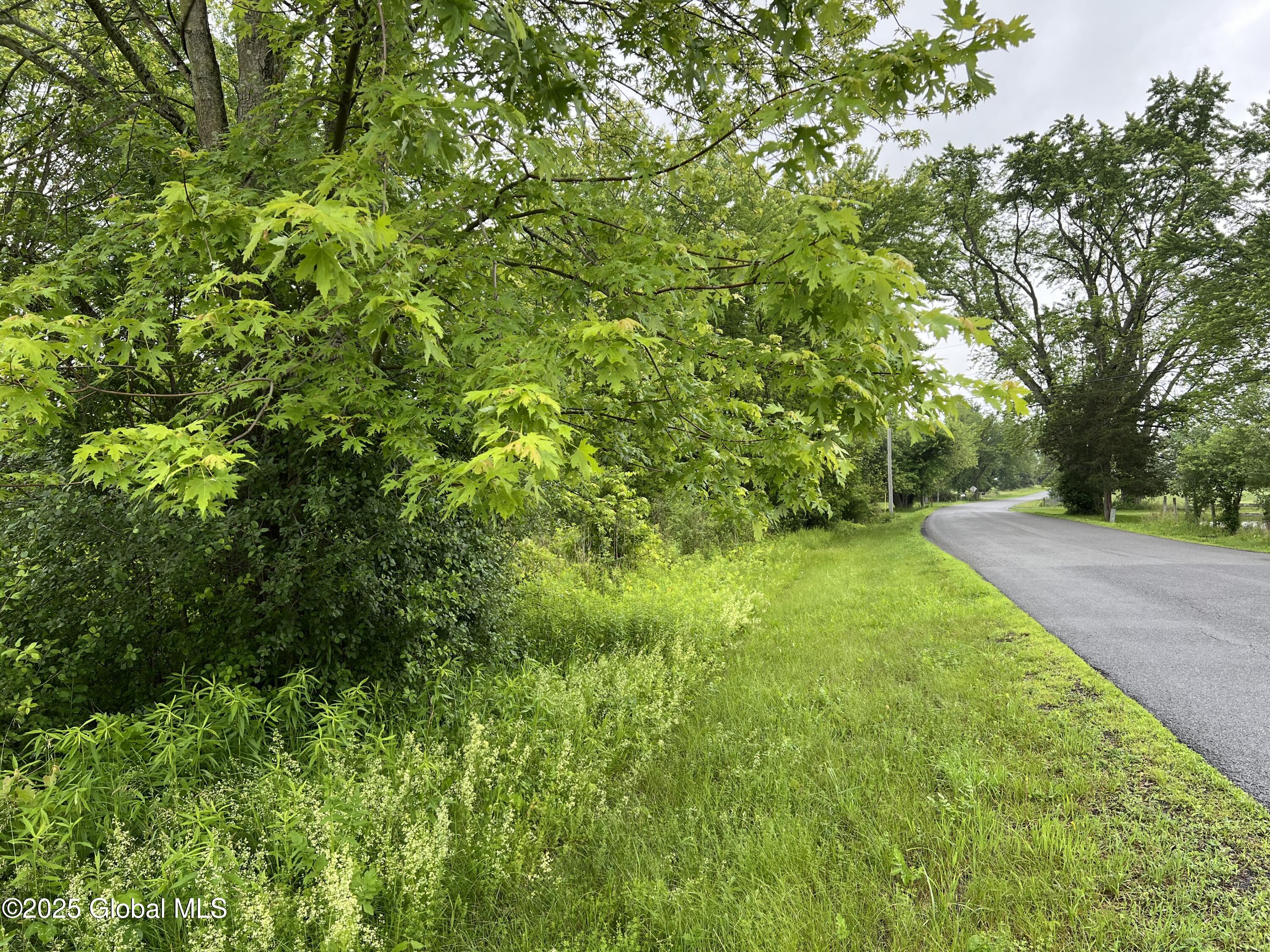 L10 Sutton Place, Coxsackie, New York image 5