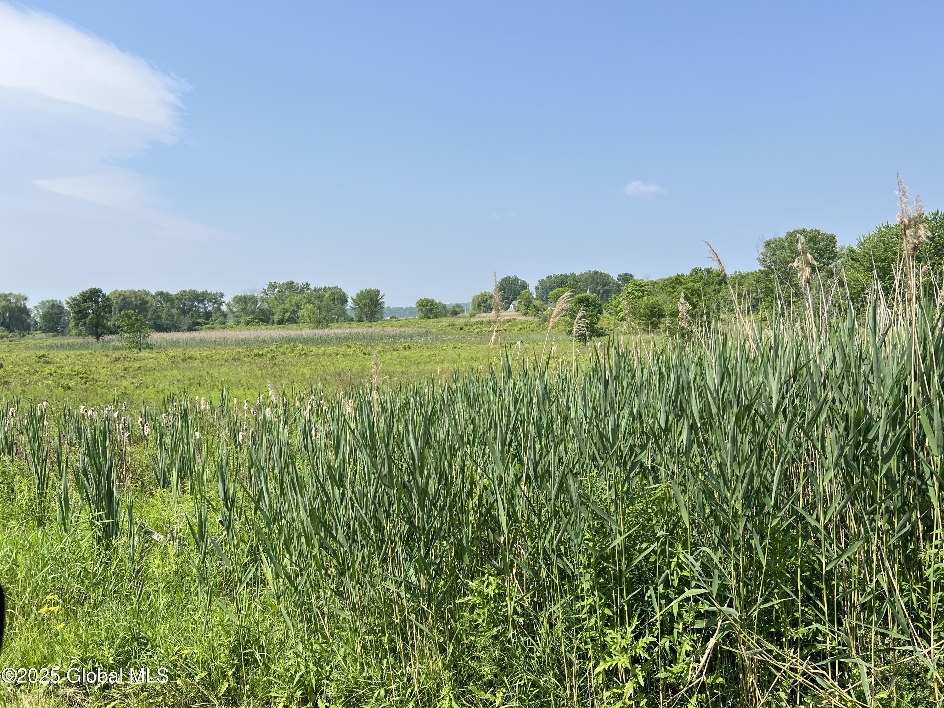 L10 Sutton Place, Coxsackie, New York image 4