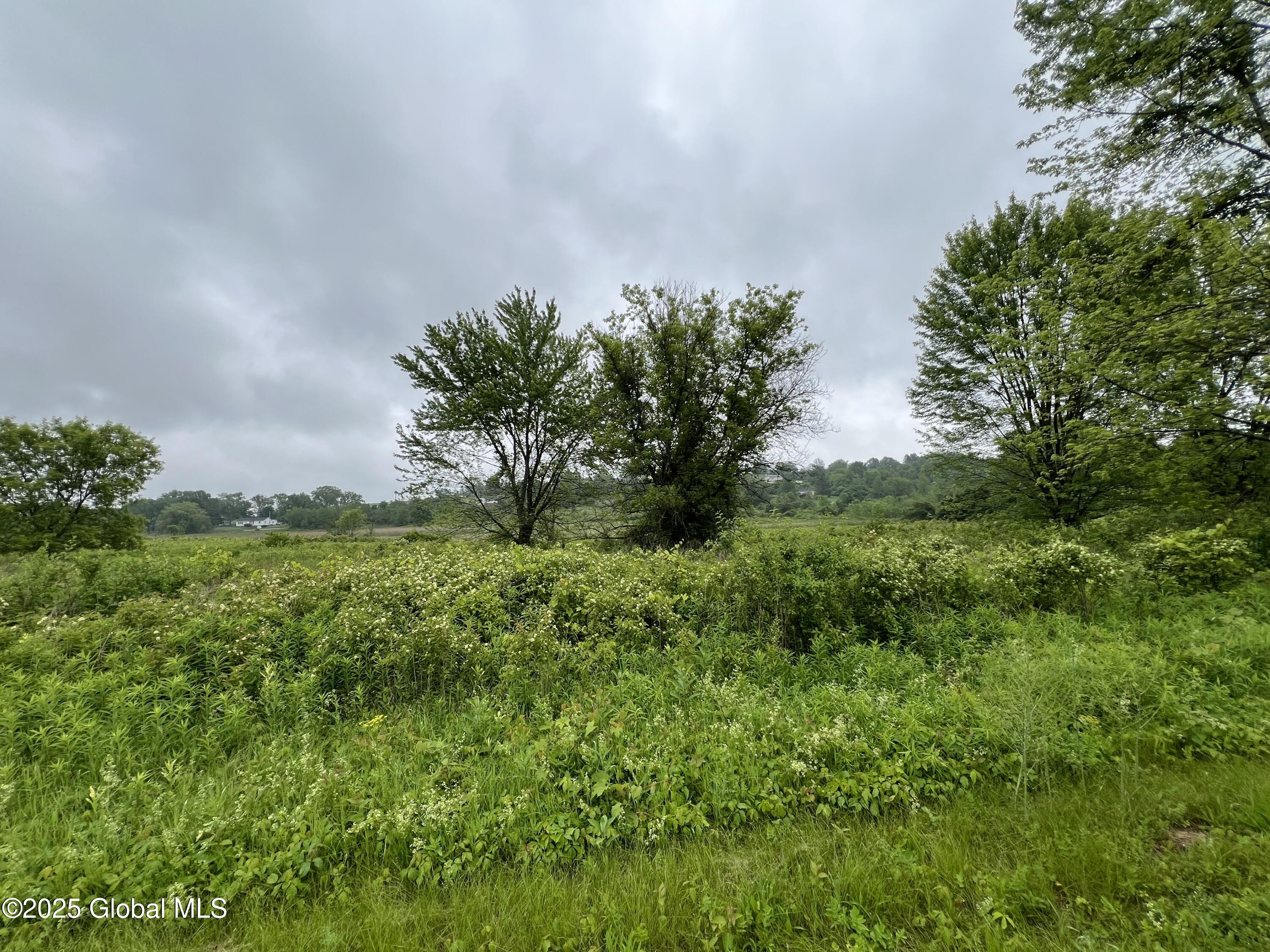 L10 Sutton Place, Coxsackie, New York image 6