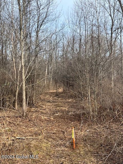 Vacant Land For Sale - 453 Gage Road<br/> Schenectady County, Delanson, NY 12053