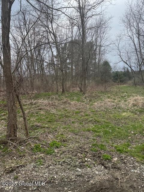 L18.2 Route 22  (old Redden Land), Hoosick Falls, New York image 48