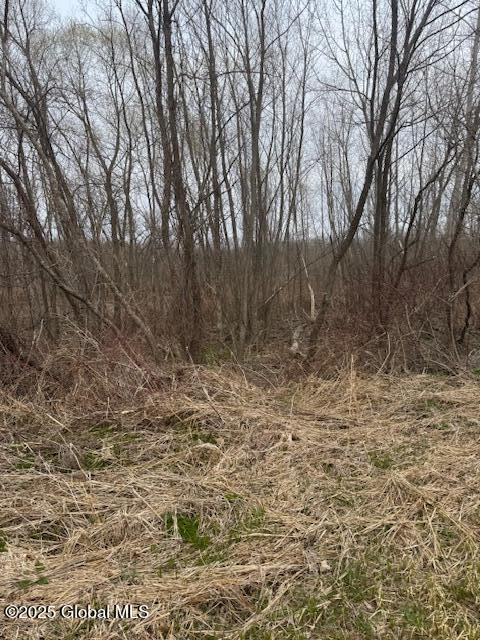 L18.2 Route 22  (old Redden Land), Hoosick Falls, New York image 45