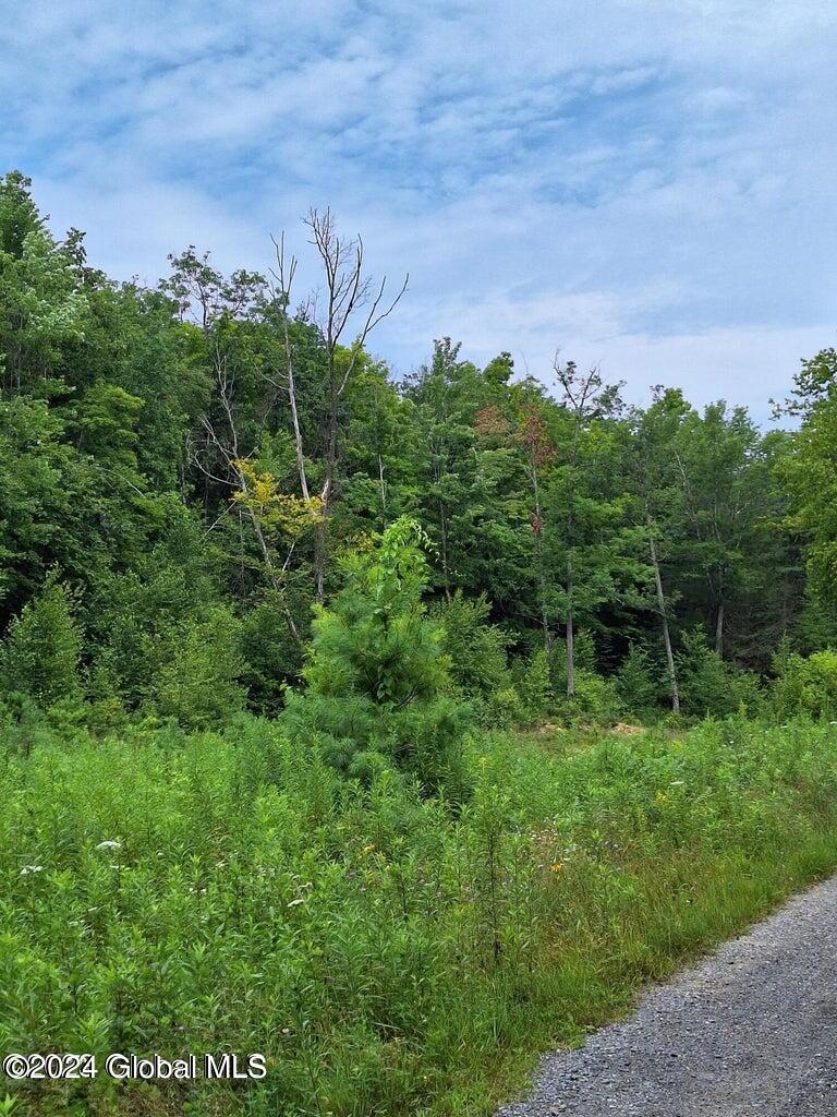 L 1.2 Transfer Road, Lake George, New York image 3