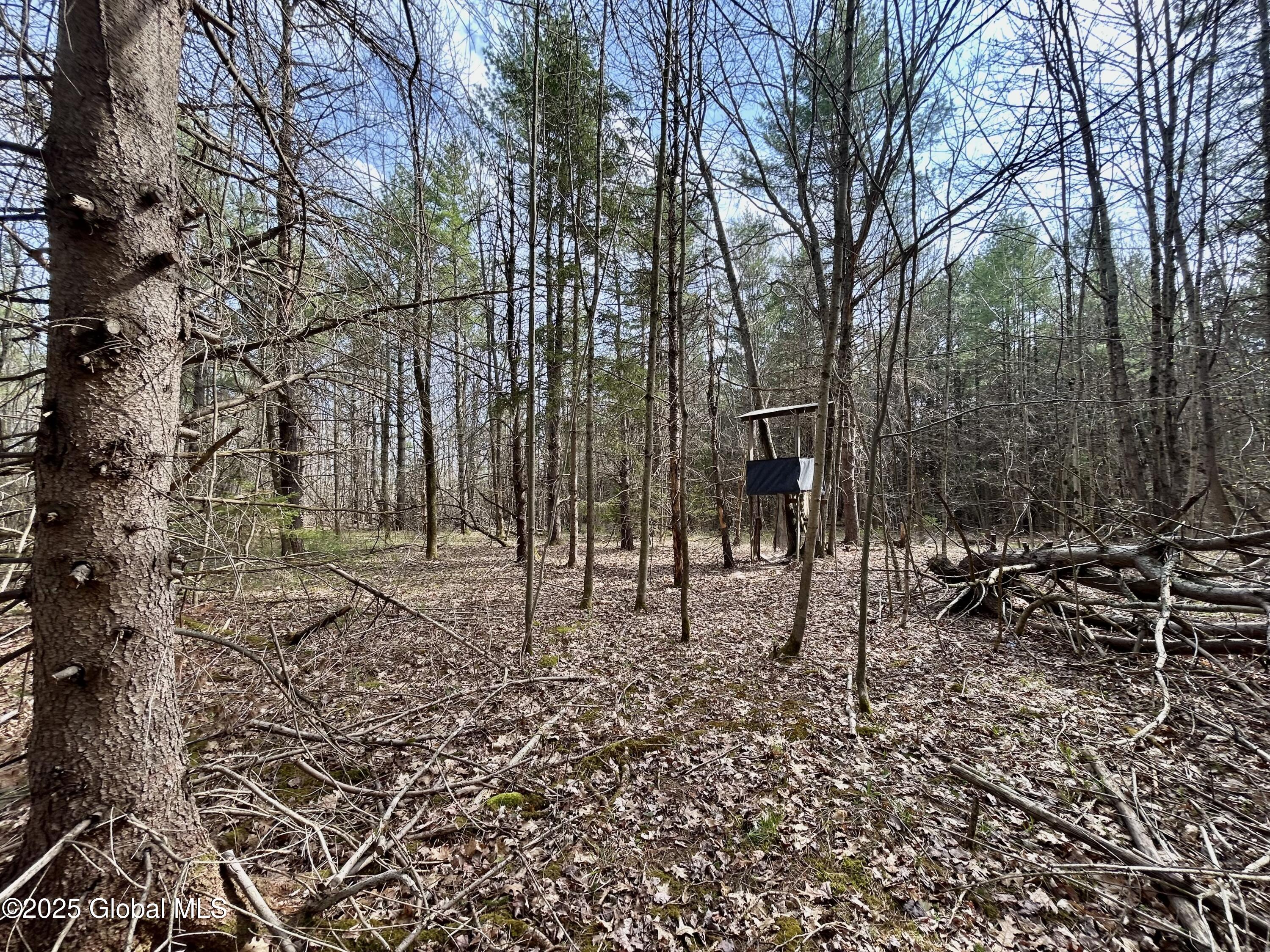 L44 Lynx Drive, Richmondville, New York image 11