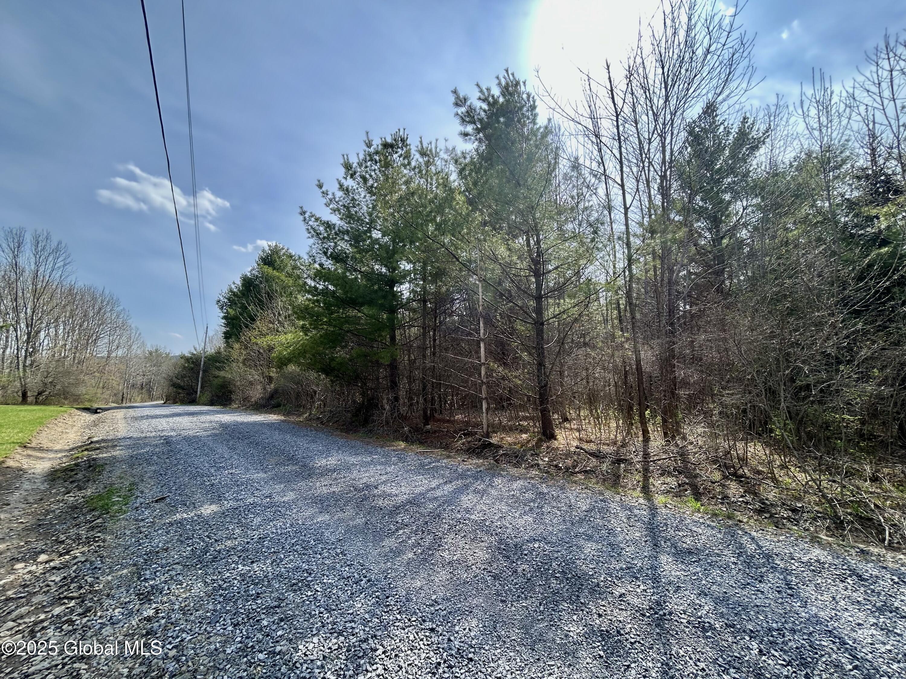 L44 Lynx Drive, Richmondville, New York image 2