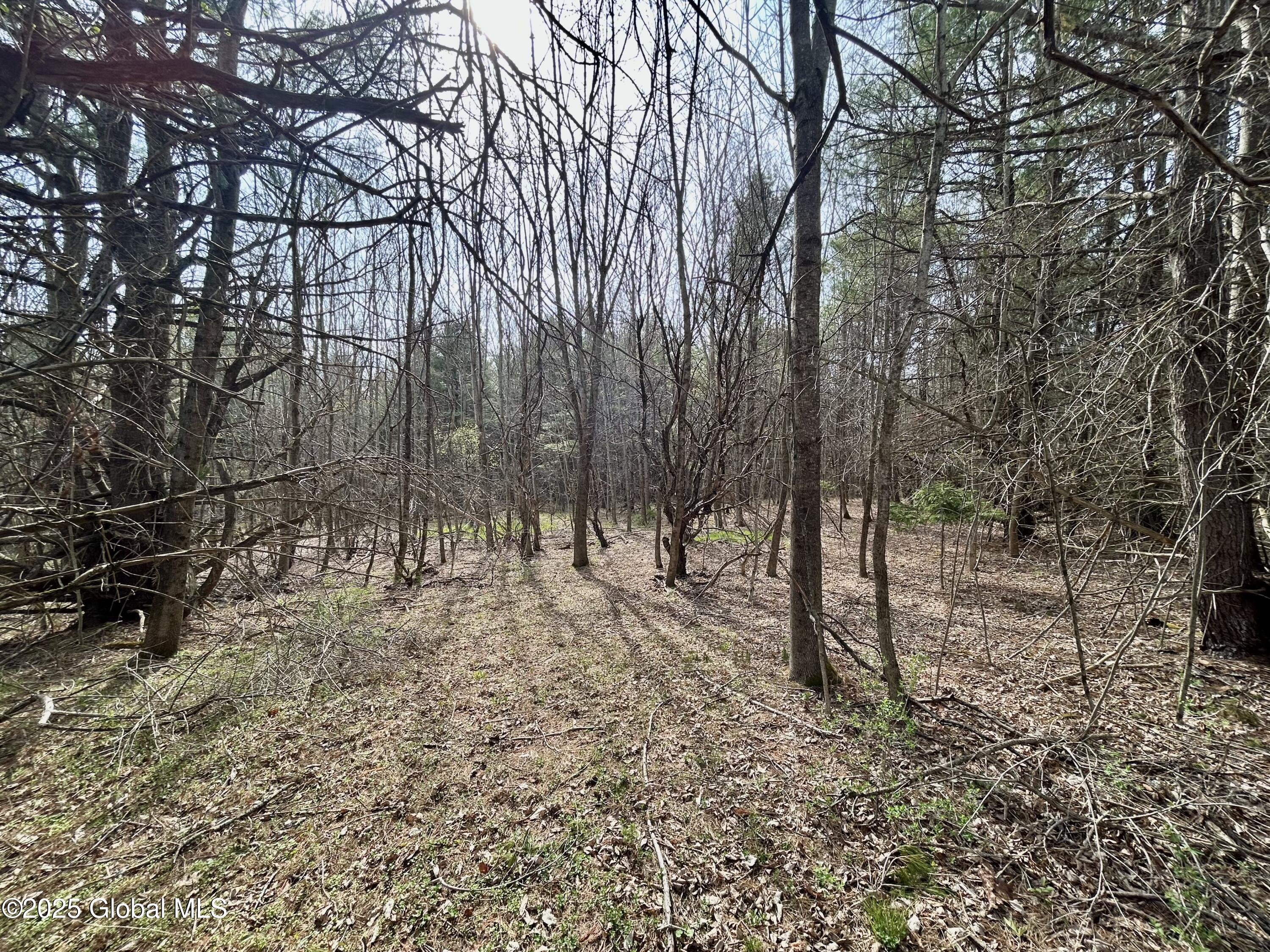L44 Lynx Drive, Richmondville, New York image 5