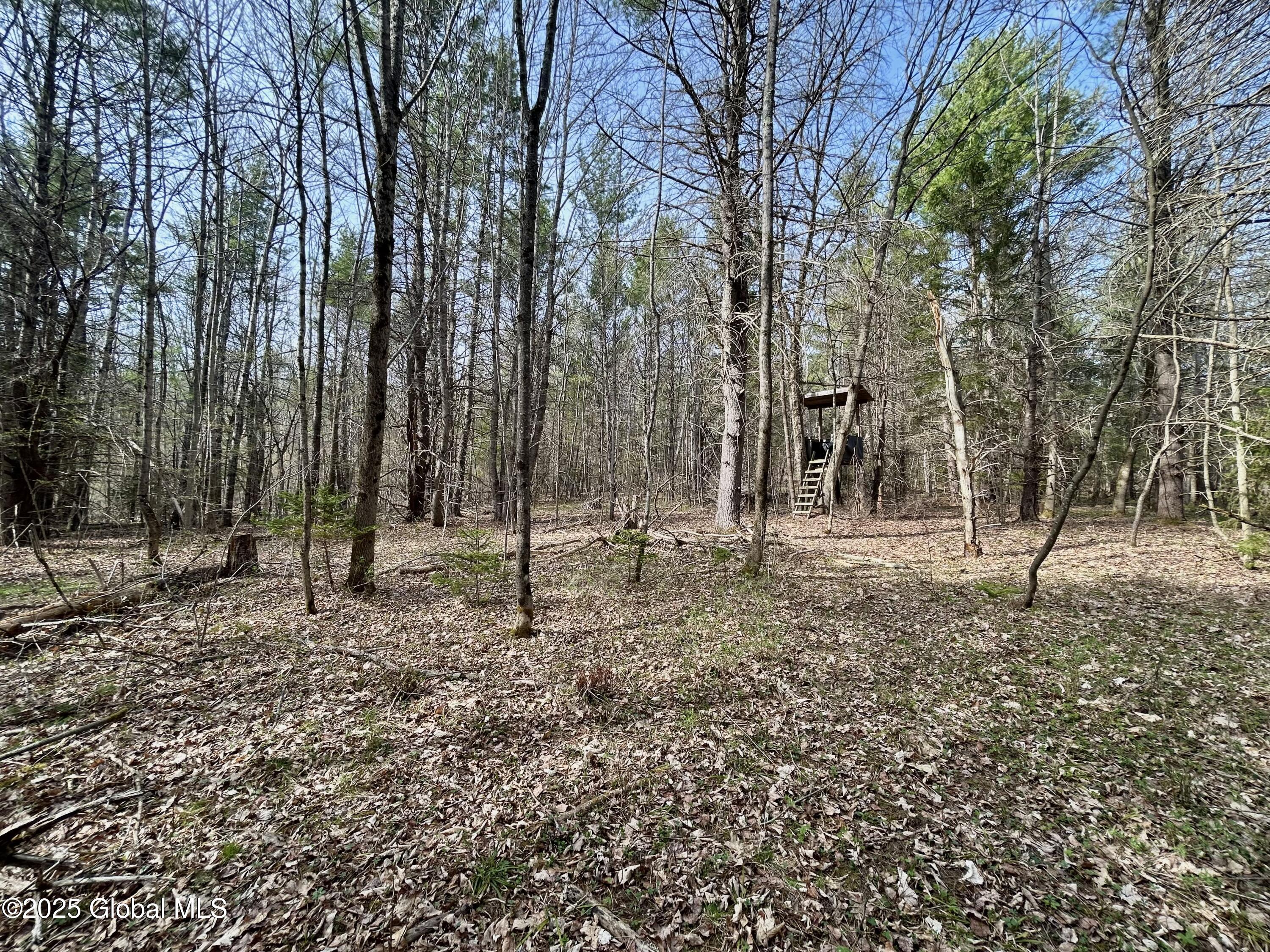 L44 Lynx Drive, Richmondville, New York image 10