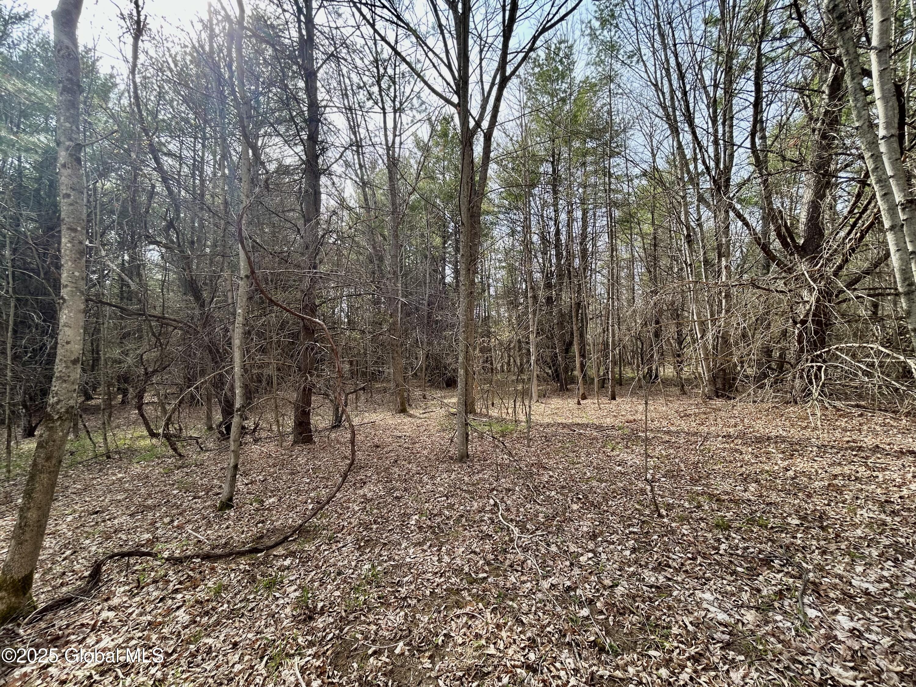 L44 Lynx Drive, Richmondville, New York image 7