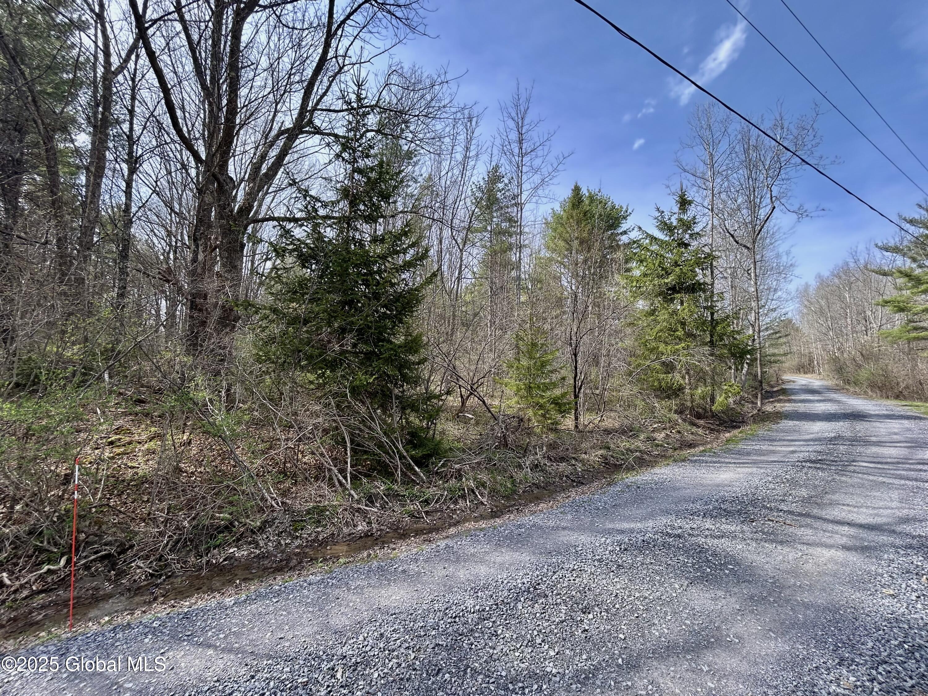 L44 Lynx Drive, Richmondville, New York image 4