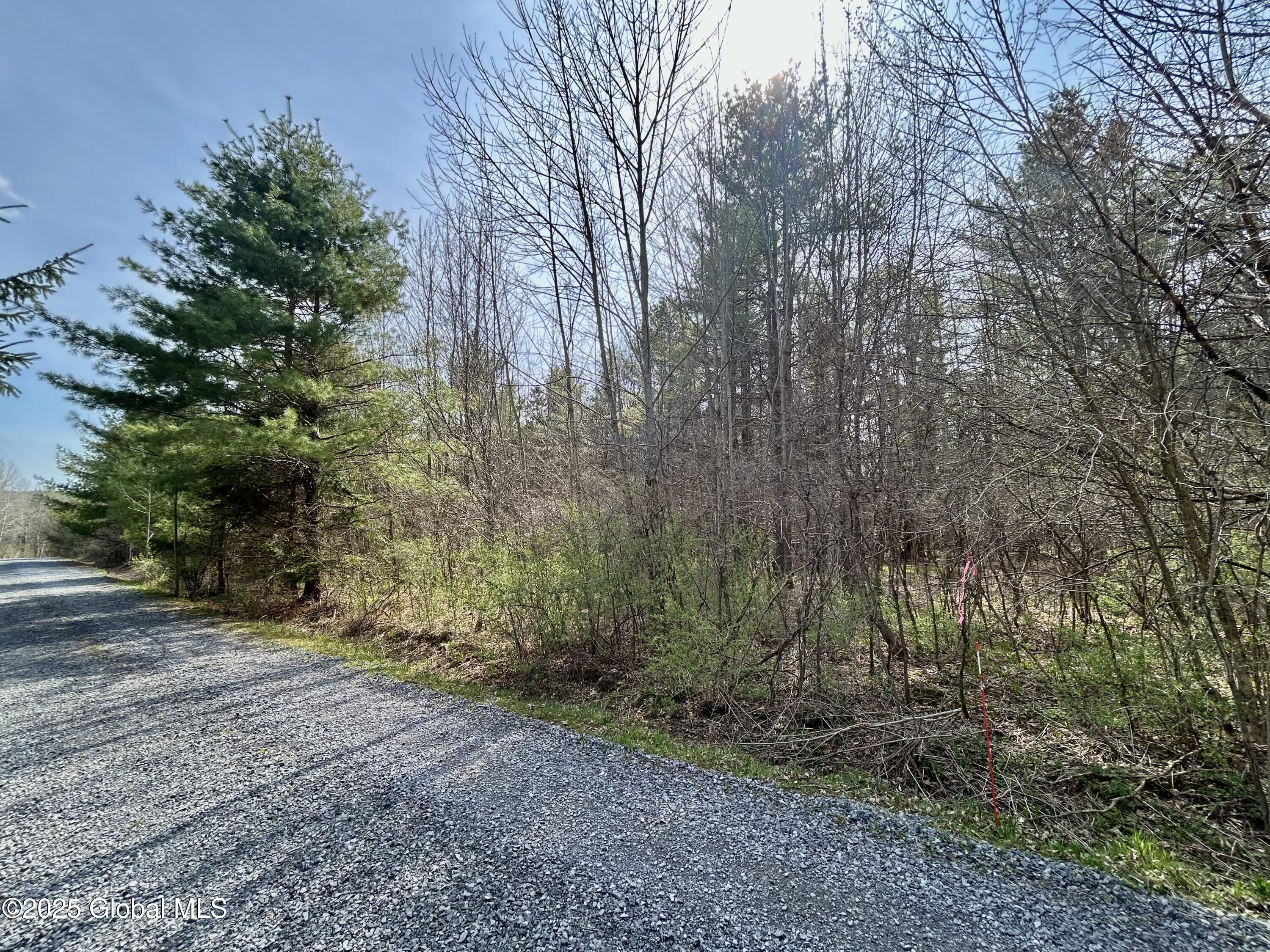L44 Lynx Drive, Richmondville, New York image 1