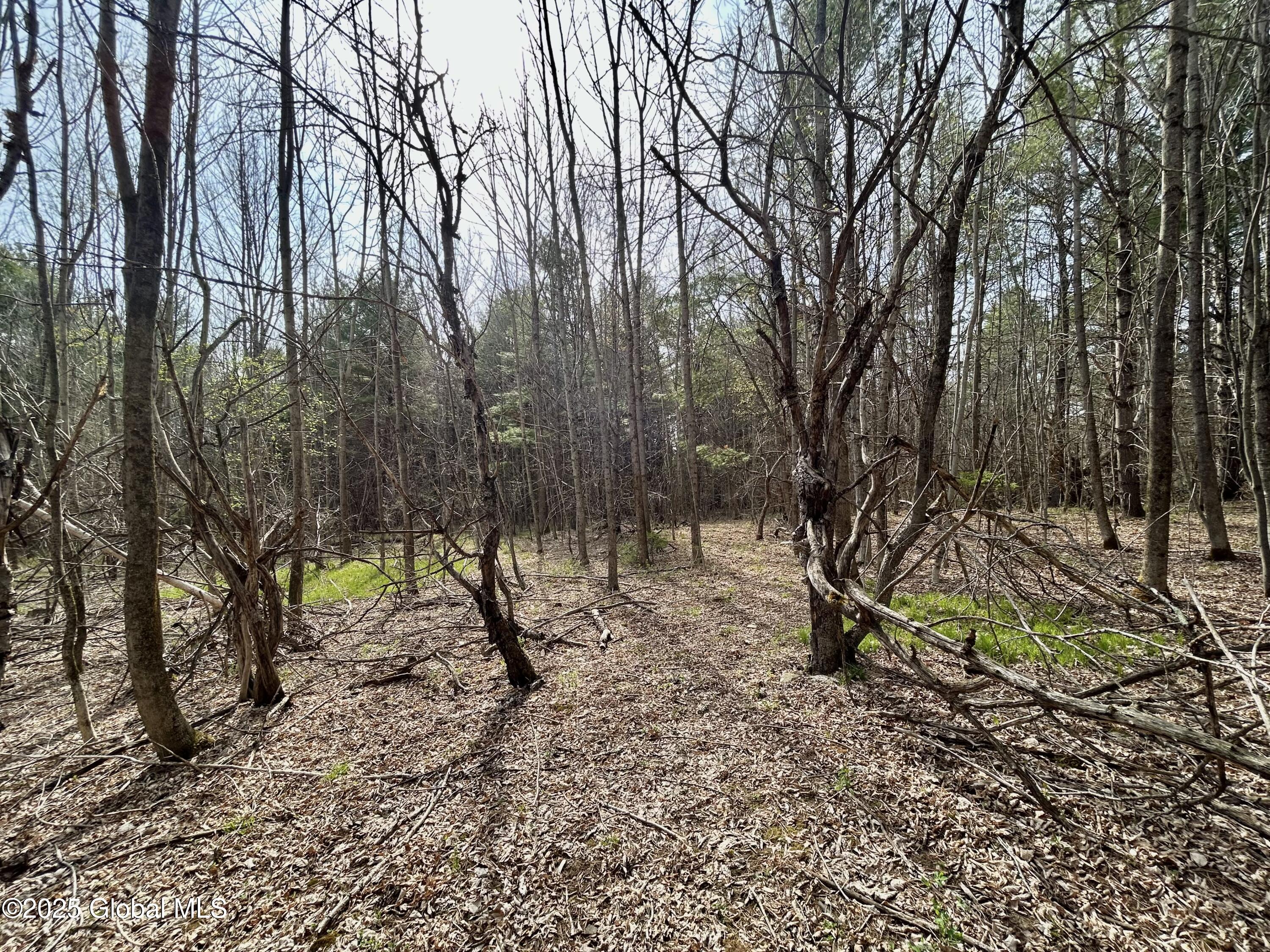 L44 Lynx Drive, Richmondville, New York image 6