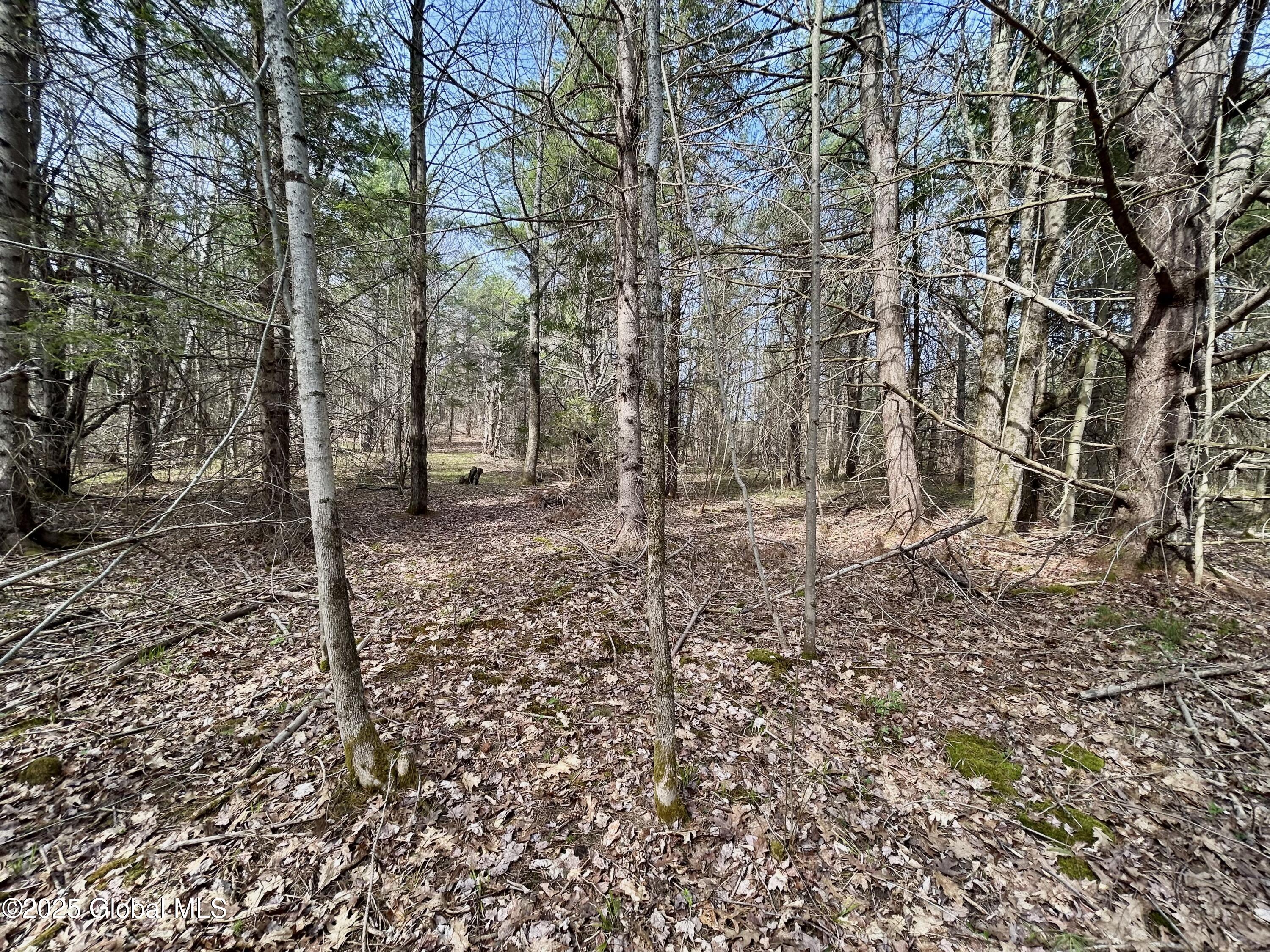 L44 Lynx Drive, Richmondville, New York image 9