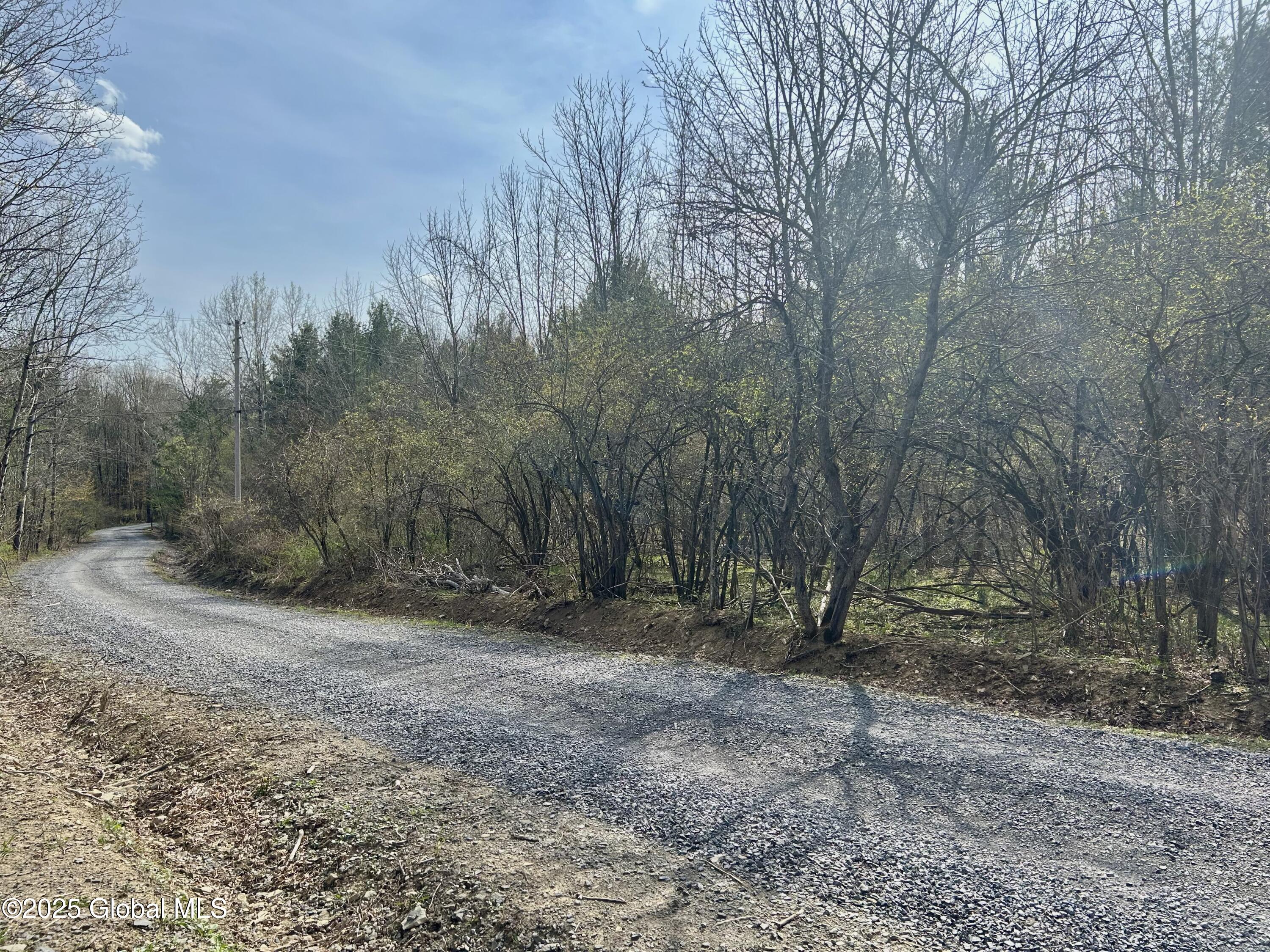 L44 Lynx Drive, Richmondville, New York image 3