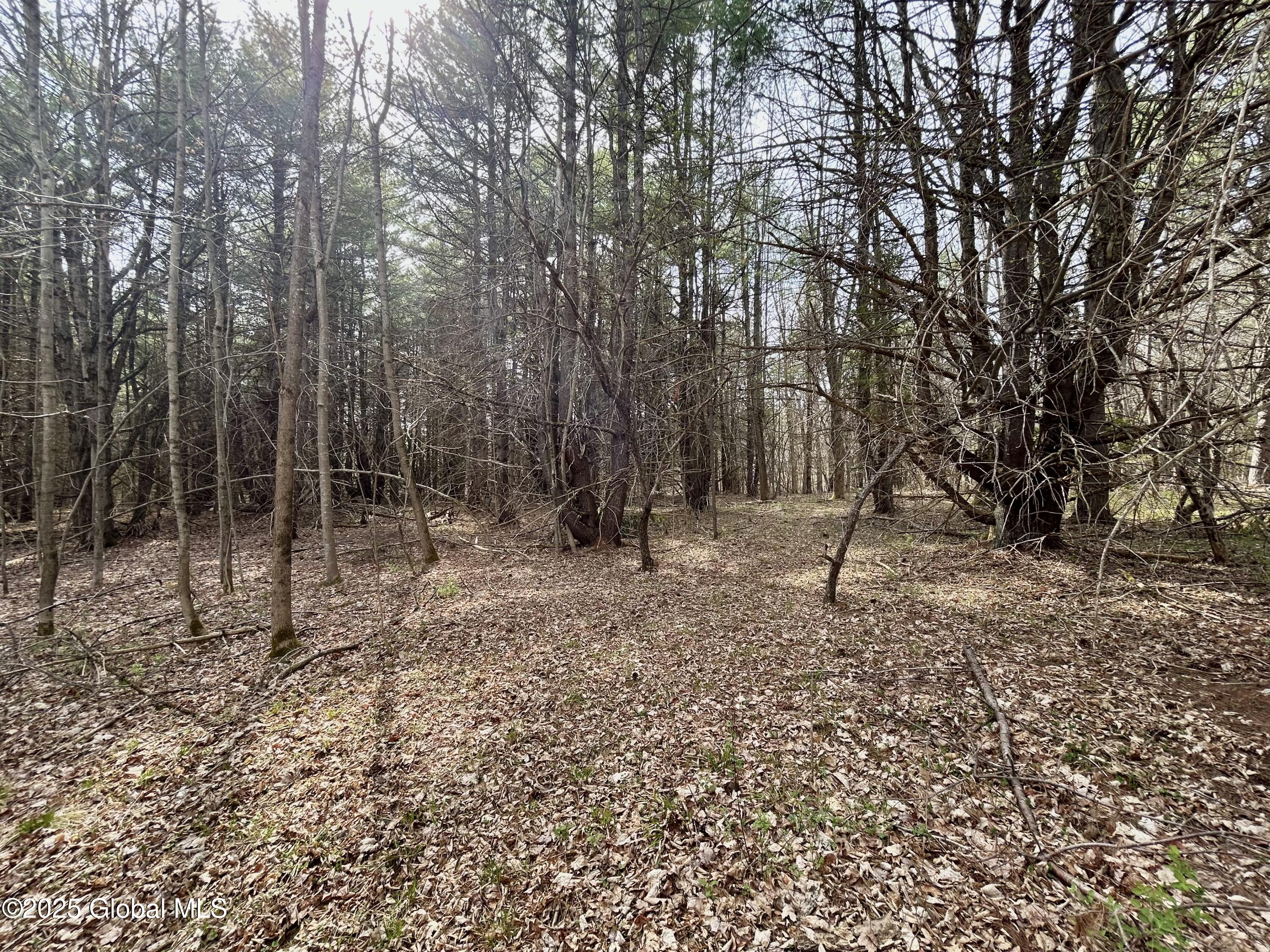L44 Lynx Drive, Richmondville, New York image 8