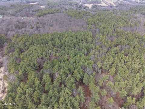 Vacant Land For Sale - LOT 54 Rr 51<br/> Greene County, New Baltimore, NY 12087