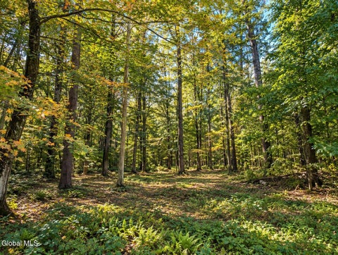 Photo of Lot 2 Massachusetts 41, Richmond, MA 01254 (MLS # 202628470)