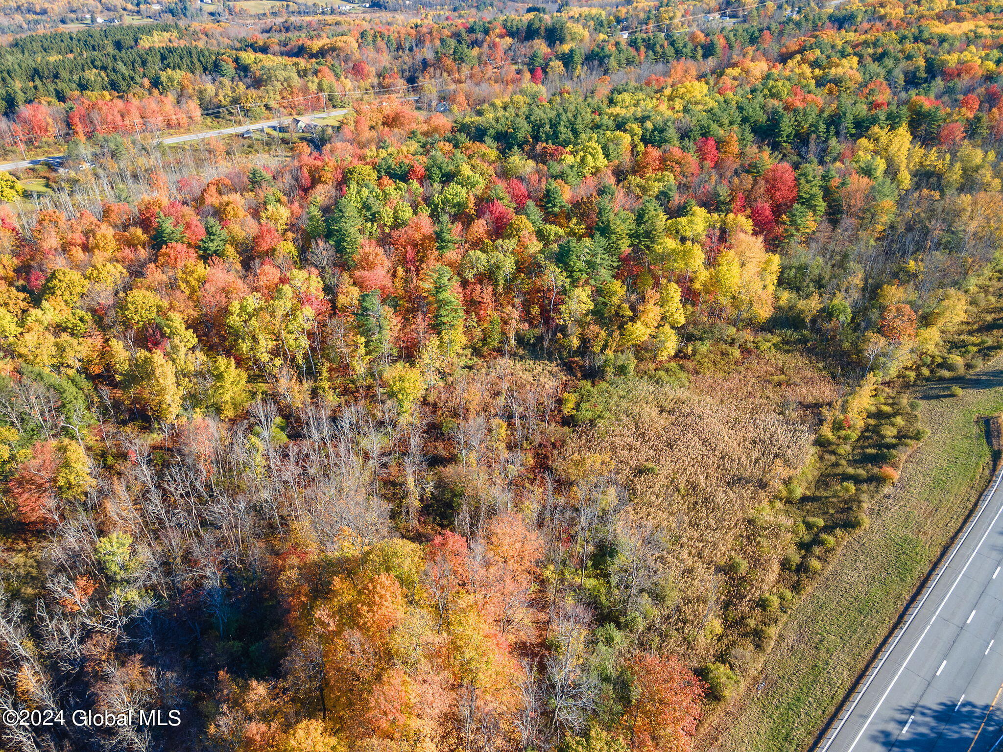 12263 Duanesburg Road, Delanson, New York image 29