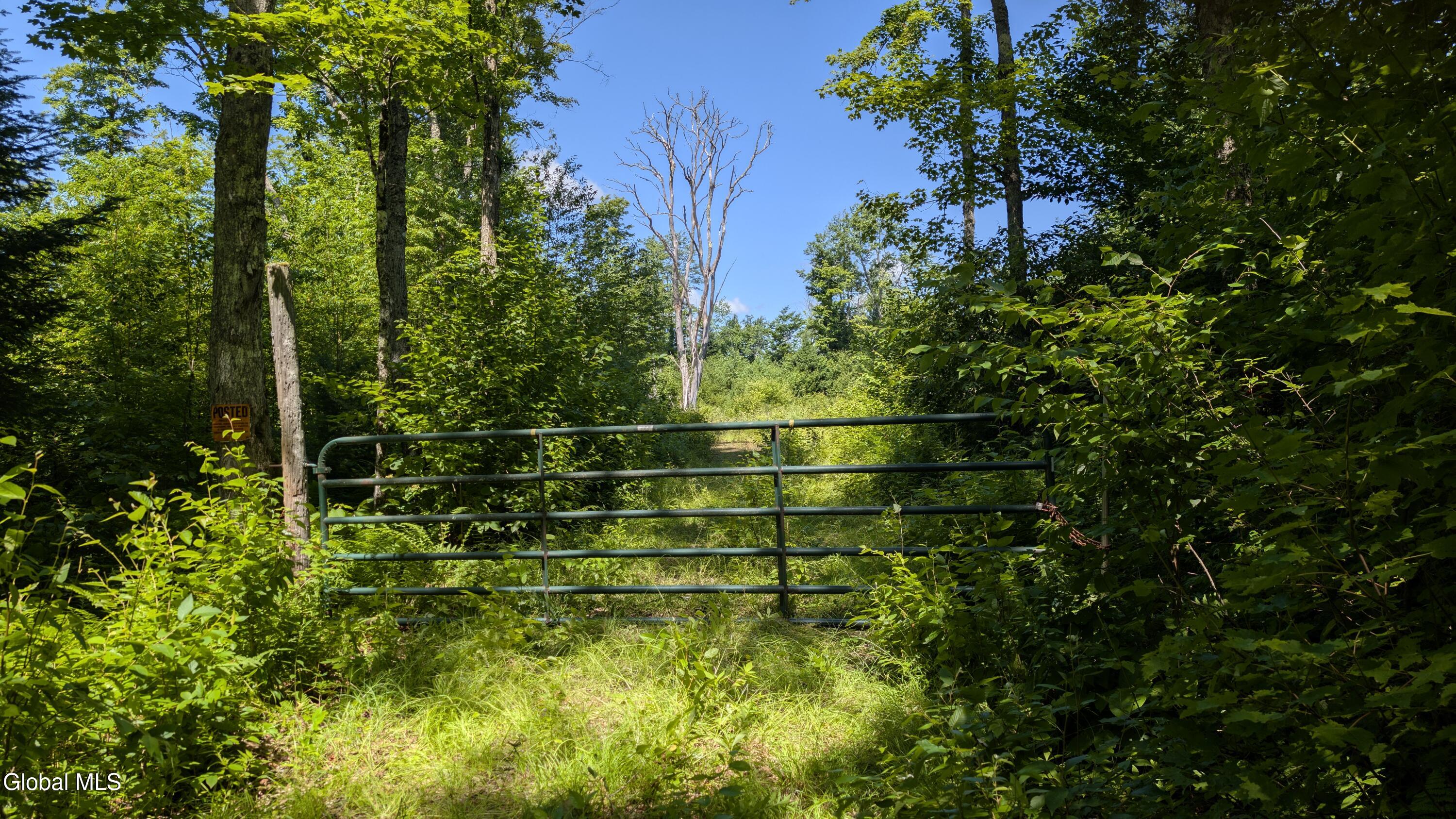 10279 Adirondack Trail