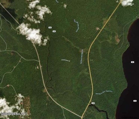 ADIRONDACK ST, SARANAC LAKE, NY 12983 - Image 9809ece94cc52c8a65acd33732fd349e/2122769134