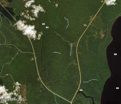 Vacant Land For Sale - 10279 Adirondack Trail<br/> Malone, NY 12953