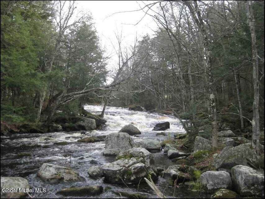 10279 Adirondack Trail