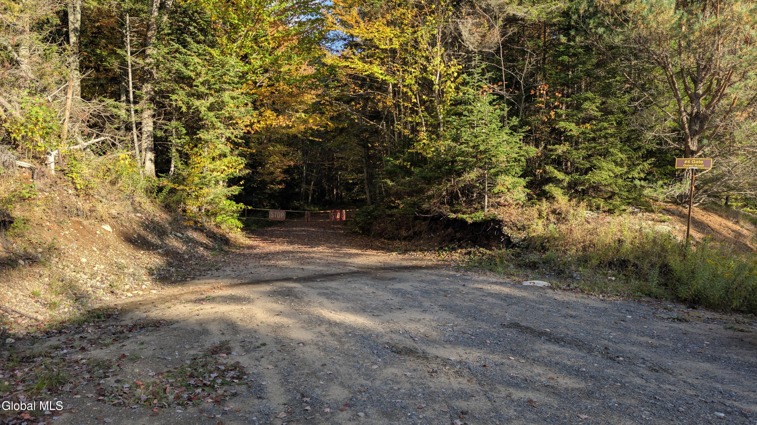 10279 Adirondack Trail