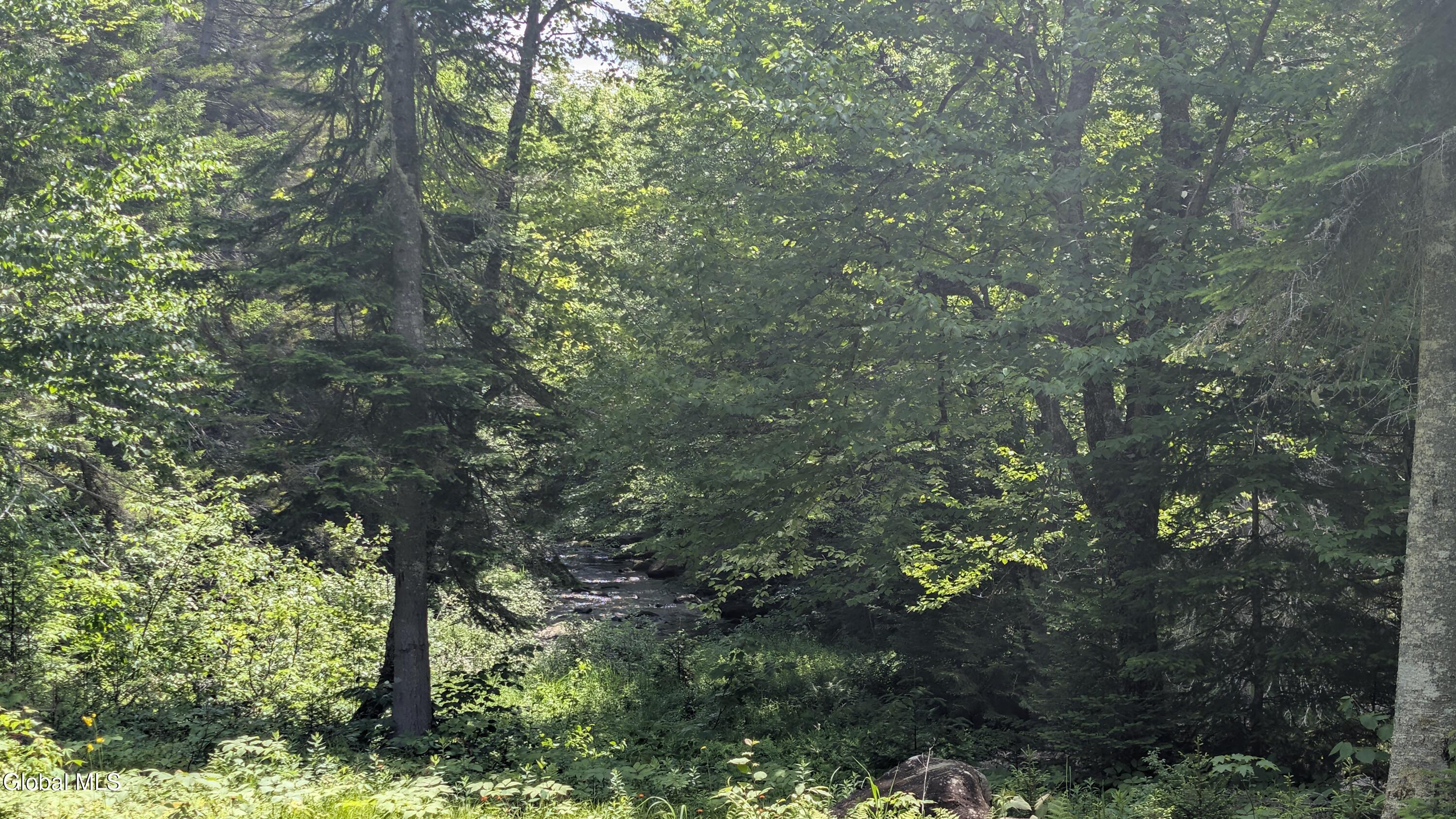 10279 Adirondack Trail