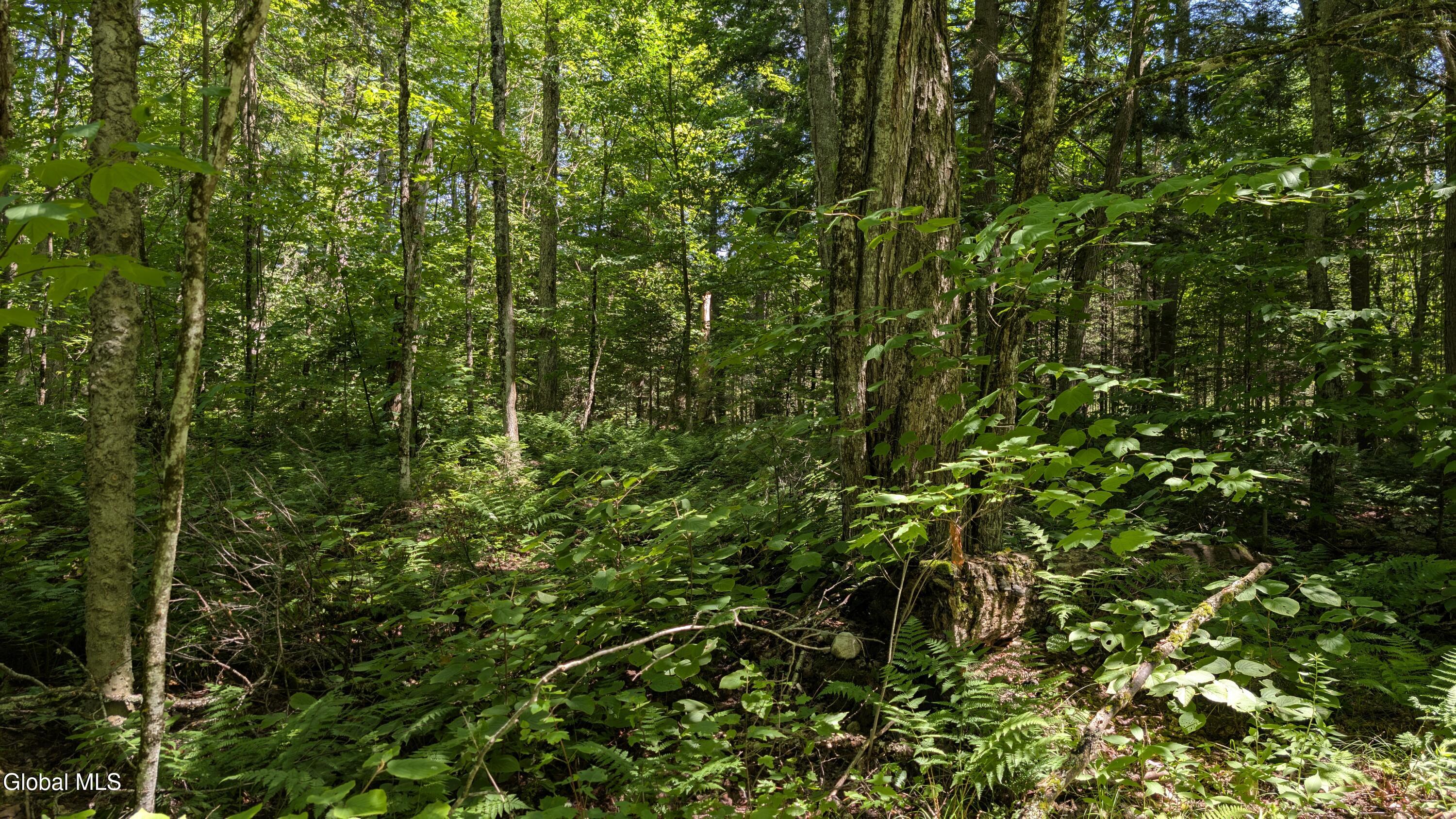 10279 Adirondack Trail