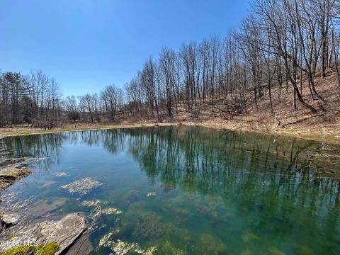 Photo of 137 Easy Street, Stamford, NY 12167 (MLS # 202614968)