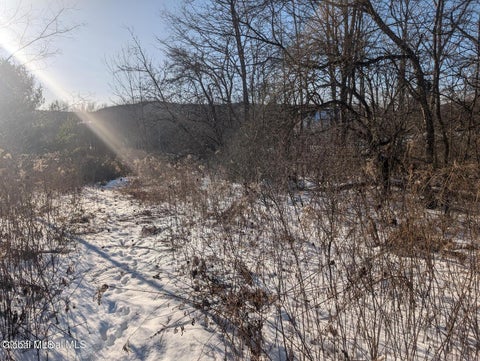 Vacant Land For Sale - L.9 Mountain View Way<br/> Rensselaer County, Hoosick Falls, NY 12090